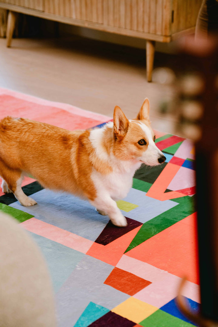 A Dog Walks on the soft LanySpace Multicolored Block Abstract Rug