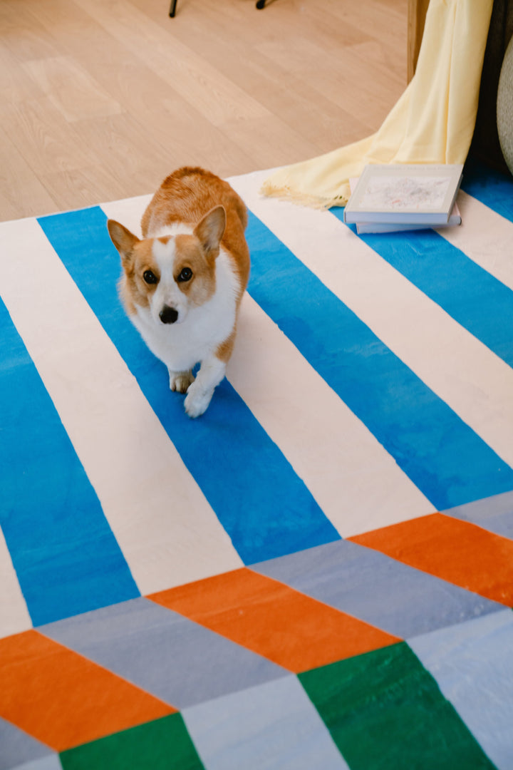 A Dog Walks on LanySpace Illusion Stripe Modern Rug in Living Room