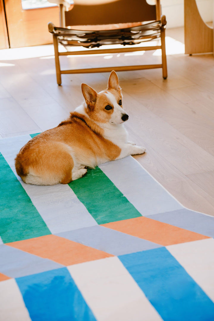 A Dog Rests on LanySpace Illusion Stripe Modern Rug in Living Room